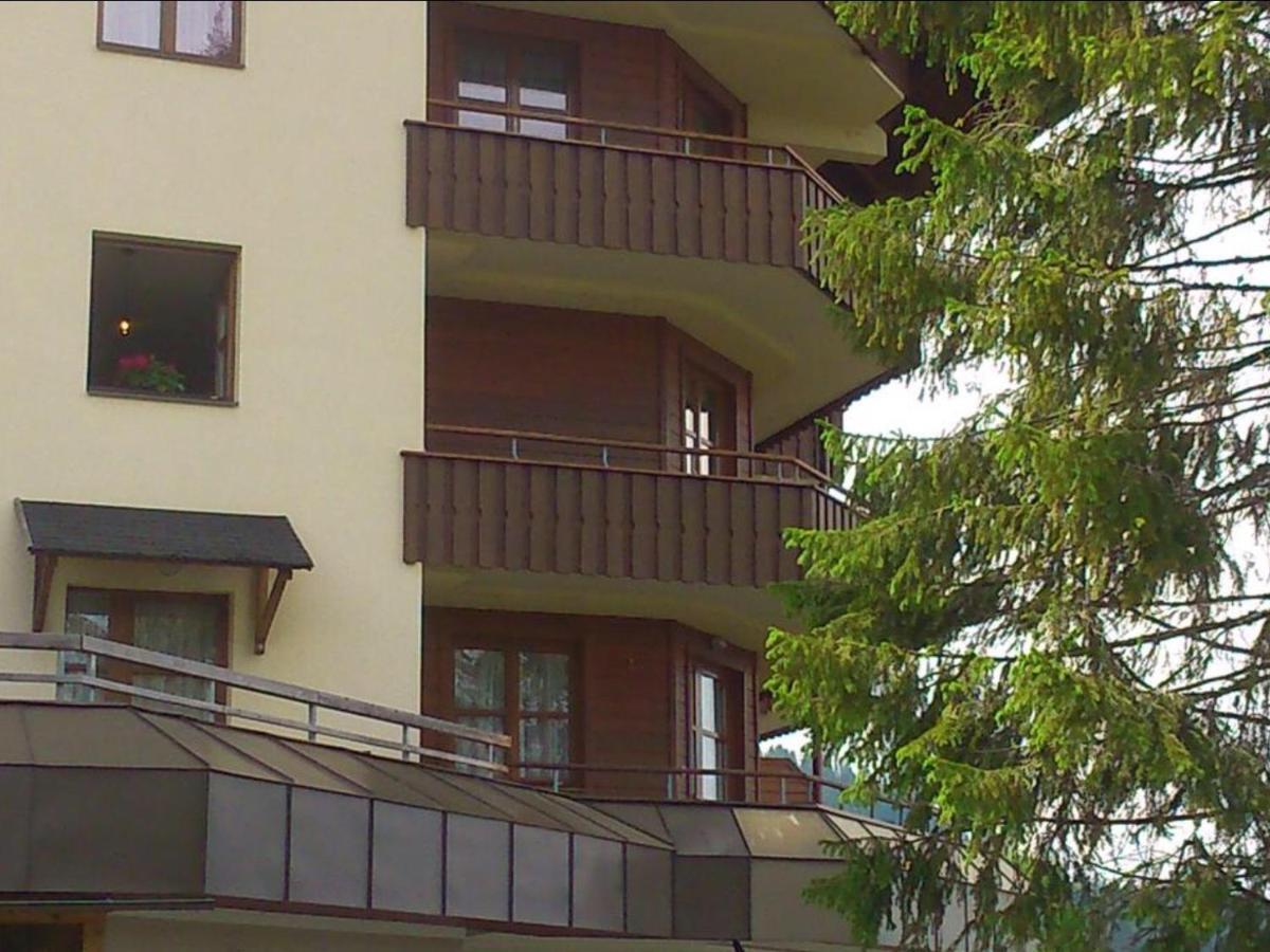 Apartments Susanne Und Jasmin - Haus Sonnleitn 索内纳尔佩·纳斯费尔德 外观 照片